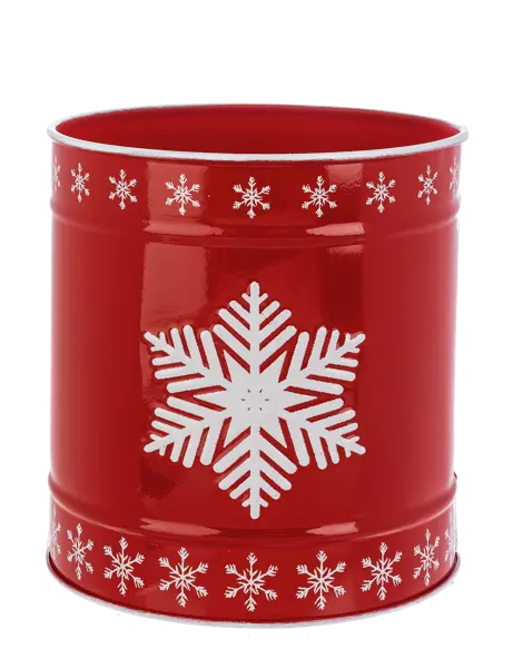 Snowflake Canister Seasonal & Holiday Decor Medium 12045063